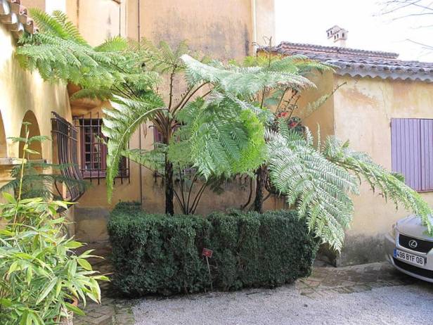 med-jardin-exotico-de-val-rhameh-menton-costa-azul