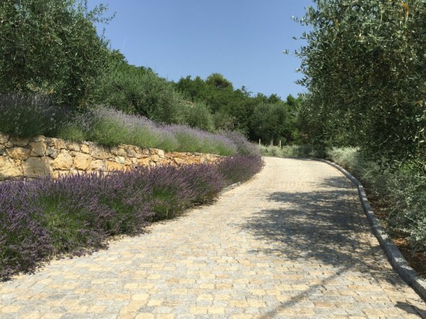 med-jardin-mediterraneo-le-rouret-francia