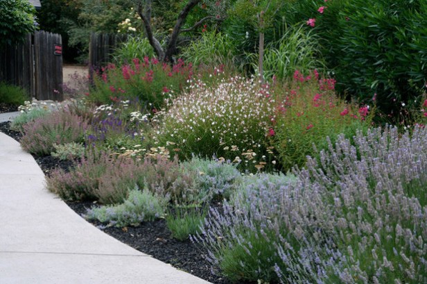 med-mediterraneo-jardin