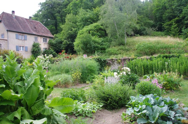 medieval-labbaye-de-murbach-lalsace