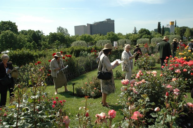 parc-cervantes-2009-010