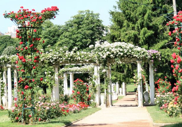 parc-de-la-tete-d0r-4