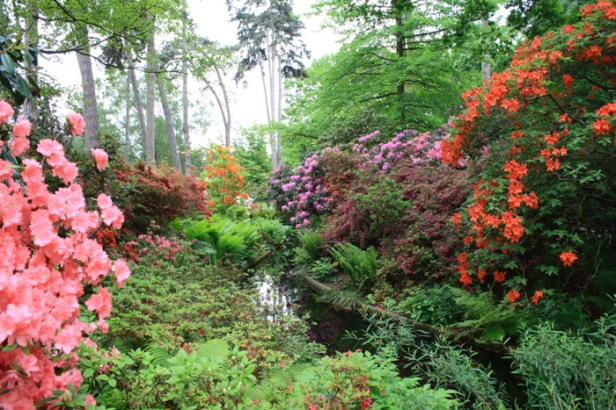 parc-floral-bois-de-vicennes-bea
