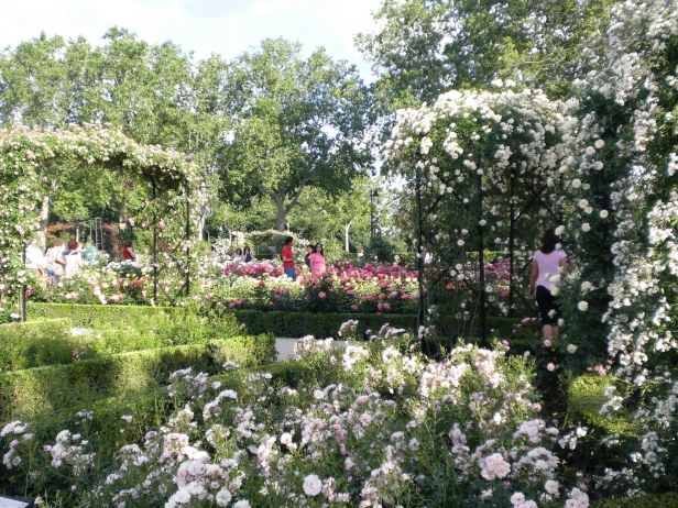 rosaleda-del-retiro