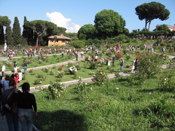 roseto-di-roma-qwkl