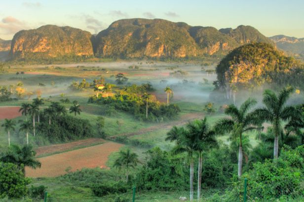 valle-de-vinales-vegetacion-valle-vinales-cuba