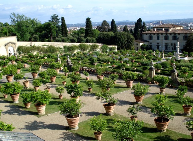 villa-medicea-di-giardino-castello-june-11-027
