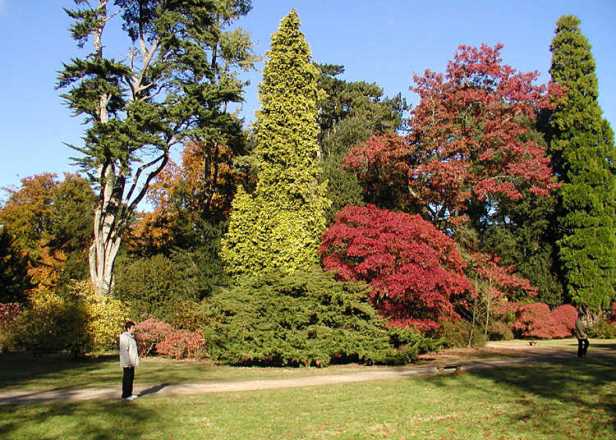 westonbirt-s1