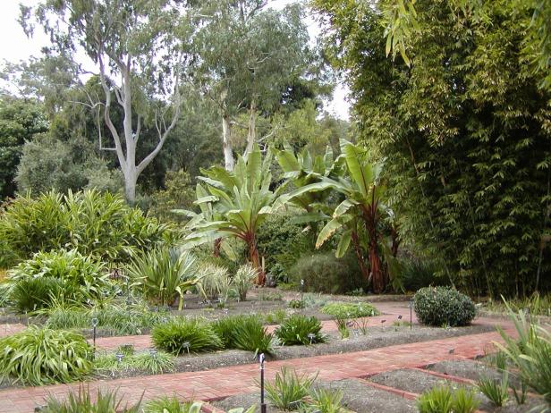 adelaide-botanic-garden-16