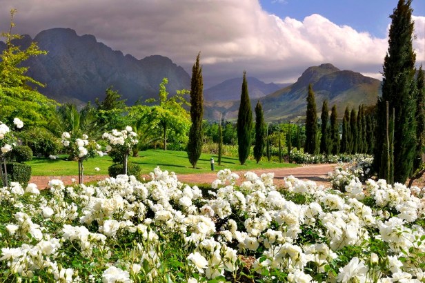 afr-franschhoek-open-gardens-la-providence