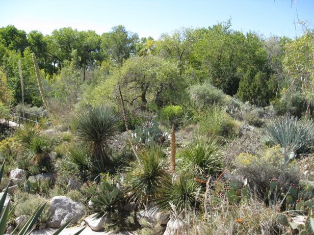 alburquerque-botanic-gardens-5-2