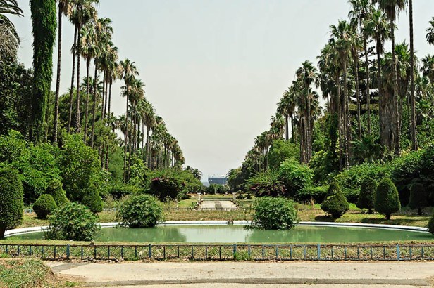 algeria-hamma-garden-xz1