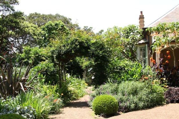 au-bronte-house-gardens-the-society-inc-by-sibella-court