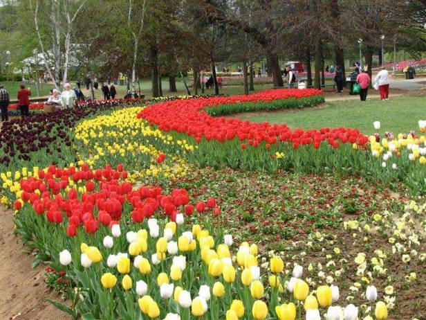 au-floriade-canberra-australia-a