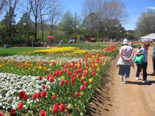 au-floriade-canberra-australia-c