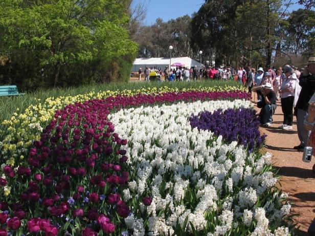 au-floriade-canberra-australia-d