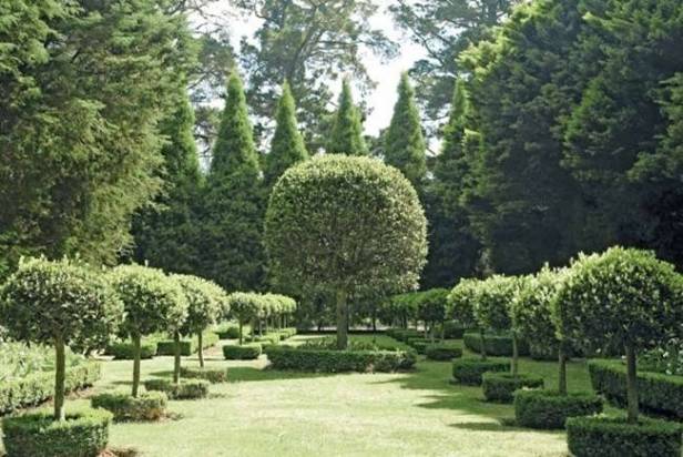 au-kennerton-green-garden