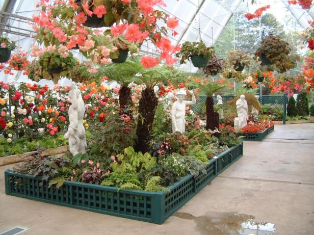 ballarat-begonia-festival-3