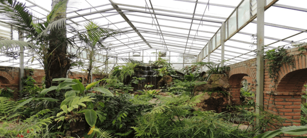 bo-jardin-botanico-santa-cruz-de-la-sierra-bolivia