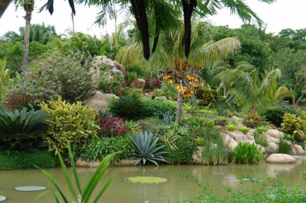 bo-jardin-botanico-cochabamba-bolivia-n