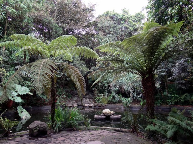 bogota-botanic-garden-df