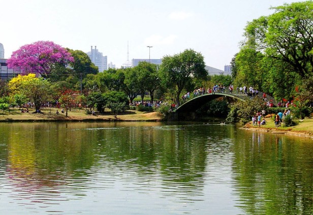 br-parque-ibirapuera-sao-paulo-brasil