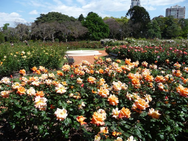buenos-aires-el-rosedal-4-2