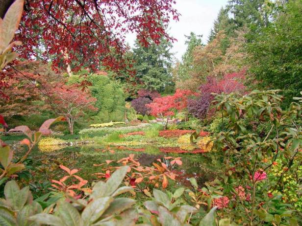 butchart-gardens-w