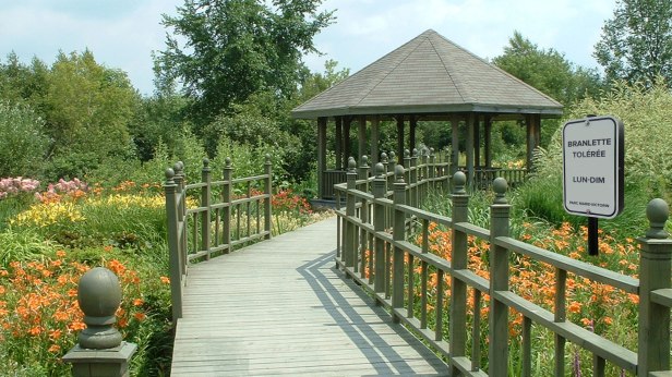 ca-parc-marie-victorin-ottawa-zona-reservada-a-los-exhibicionistas