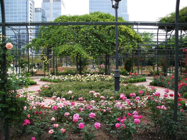 chile-parque-araucano-3