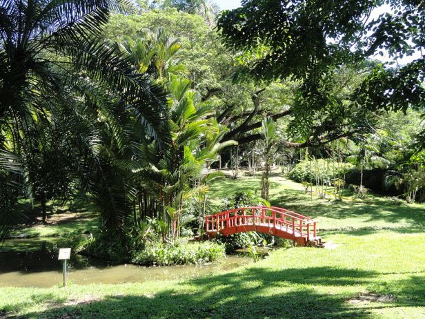 chinese_bridge_puerto-rico-_san_juan_botanical_garden_