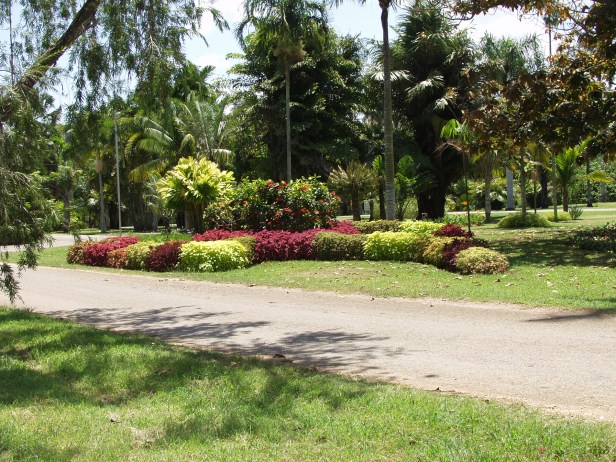 Jardín Botánico de La Habana