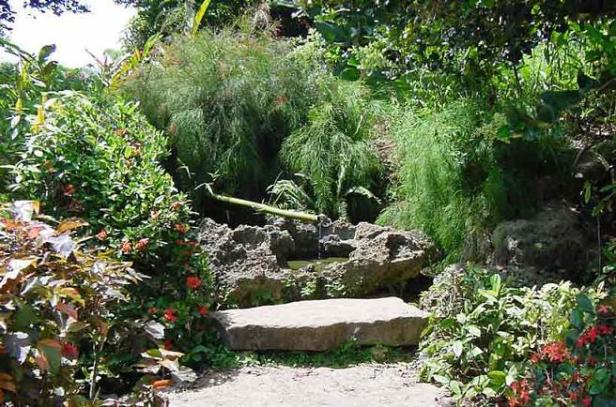 cuba-jardin-japonesen-el-botanico