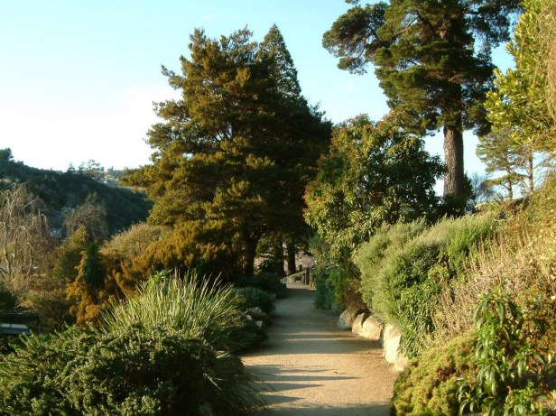 dunedin-bg-6_redimensionar