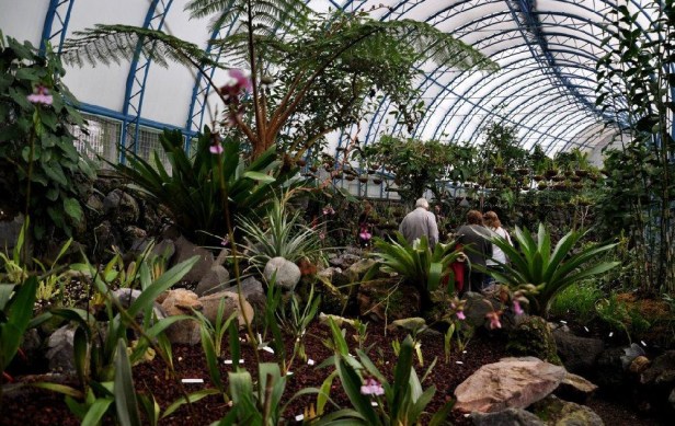 ecuador-jardin-botanico-quito-2