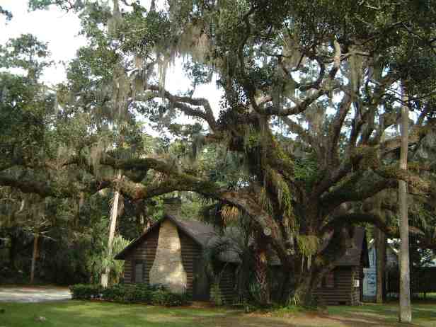 florida-state-gardens-washington-oaks