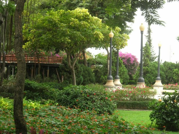 guayaquil-botanical-garden-2