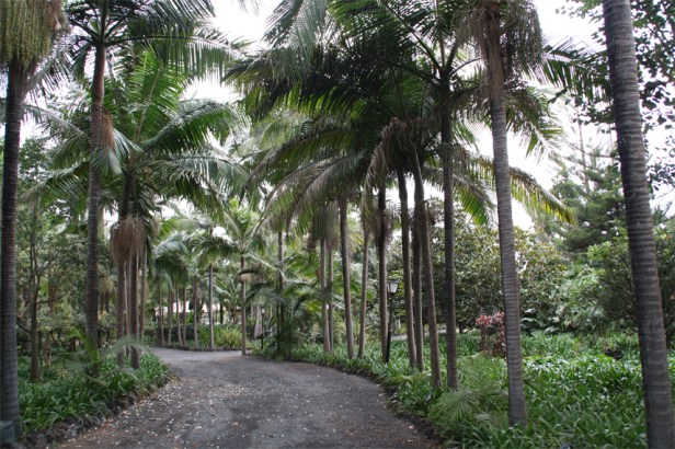 h-jardin-botanico-de-la-marquesa-de-arucas