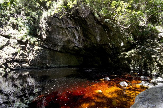 harold-porter-botanical-gardens-xplorio-bettys-bay3
