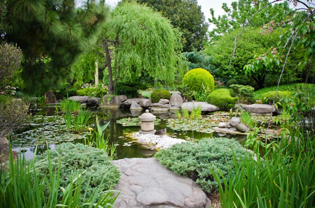 himeji-garden-en-adelaide-e