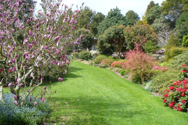 hollard-gardens-in-new-plymouth-zb