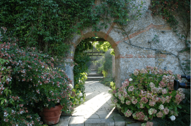 ing-gertrude-kelly-garden