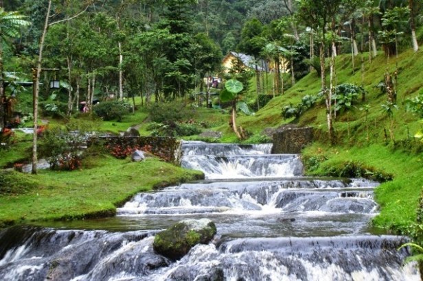 jardin-botanico-de-la-universidad-tecnologica-de-pereirarisaralda_termales_sanra_rosa_2