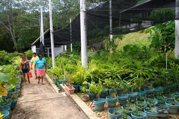 jardin-botanico-de-san-andres-colombia