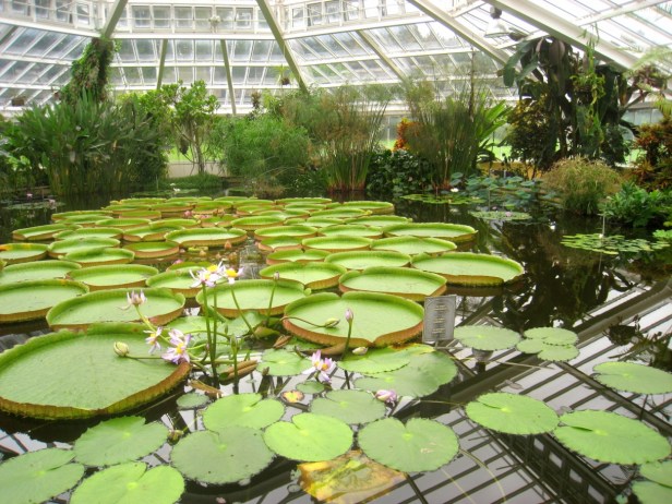 jardin-botanico-de-teheran-ac