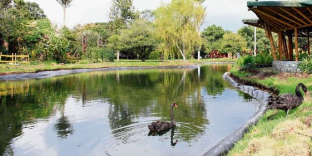 jardin-botanico-de-cali-kk