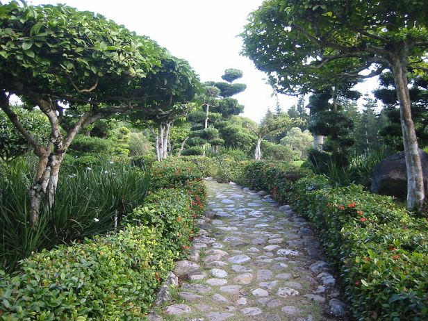 jardin-botanico-de-santo_domingo-2