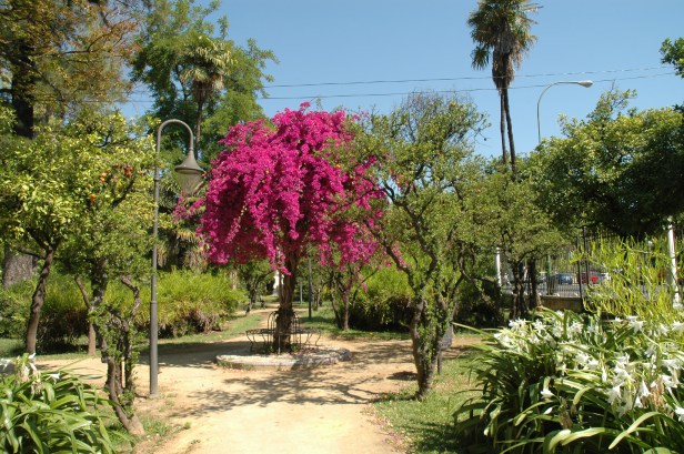 jardines-de-las-delicias-04