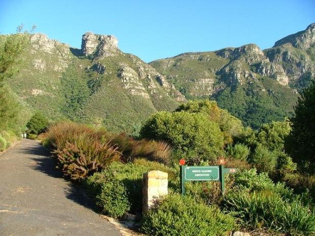kirstenbosch-national-botanical-garden-hzc