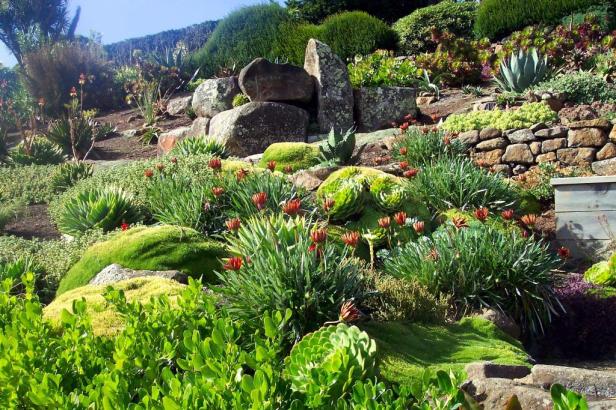 lanarch-castle-gardens-12